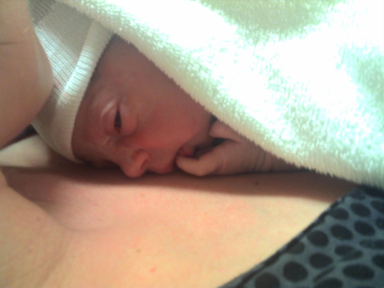 laura_vinger.jpg laura_vinger.jpg